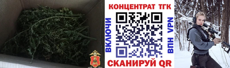 MEGA как войти  Приморско-Ахтарск  ТГК концентрат 