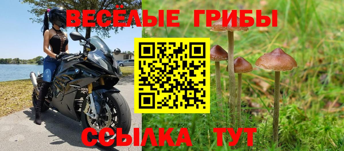 Галлюциногенные грибы мухоморы Приморско-Ахтарск