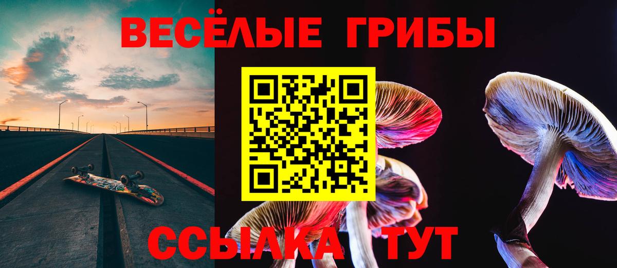 Псилоцибиновые грибы Psilocybe  Вход с VPN  Приморско-Ахтарск 